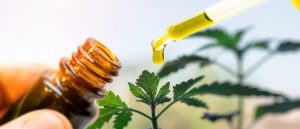 Quality CBD products